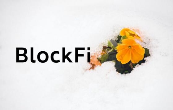 BlockFi resurge de la bancarrota, abre retiros para usuarios internacionales 