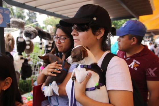 Animal Fest Tlalpan concluye exitosamente