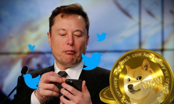 Elon Musk anuncia que Tesla aceptará dogecoin como medio de pago