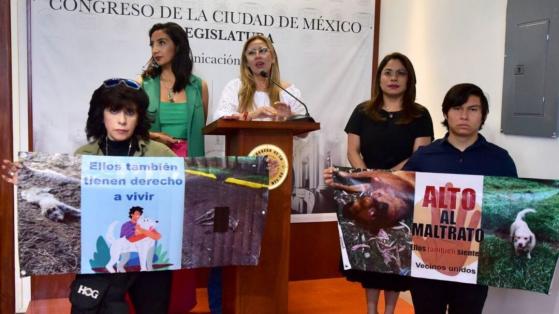 Legisladores denuncian que torturan y matan a perros en bosque de Xochimilco