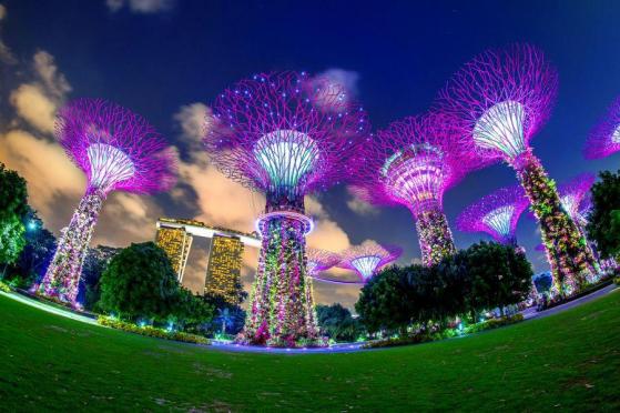 Singapur invertirá en el futuro con una 