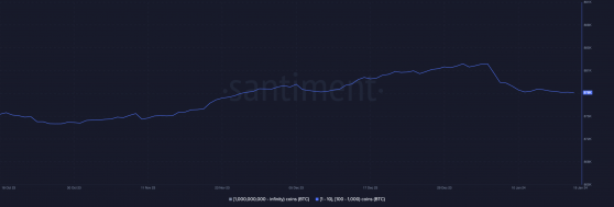 Las ballenas Bitcoin se acumulan a pesar de la caída de los precios: ¿es inminente un repunte?