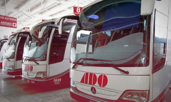 Cofece investiga mercado nacional de autotransporte de pasajeros
