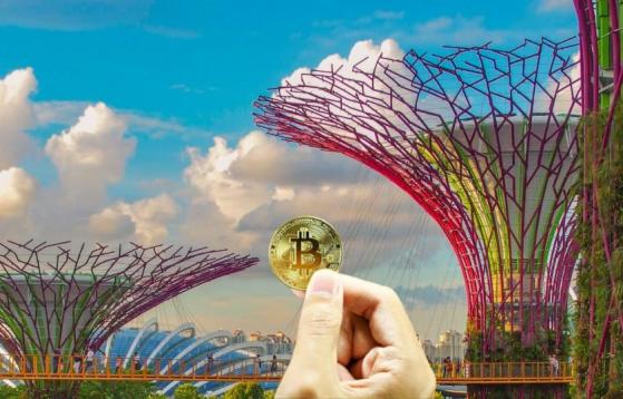 Tribunal de Singapur dictamina que cripto es una propiedad, la compara con dinero fiat