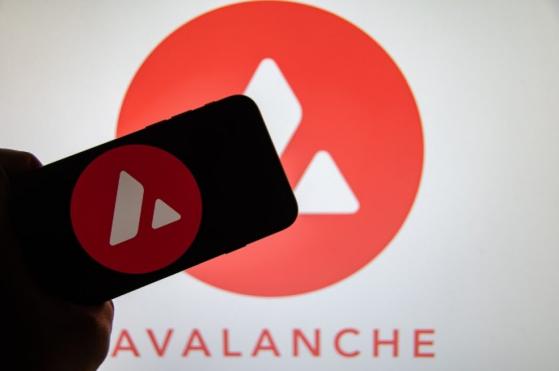 Los inversores de Solana (SOL) y Avalanche (AVAX) miran a KangaMoon mientras registra más de USD $2 millones en su preventa