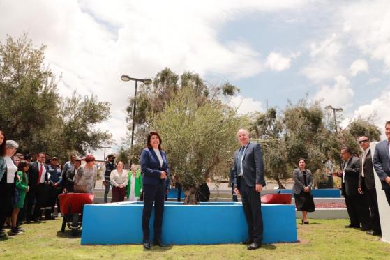 Develan placa y siembran olivo en Tecámac por 70 años de relaciones diplomáticas México-Israel