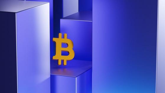 Bitcoin cayó momentáneamente bajo los USD $29.000 y principales altcoins a la baja este 16 de agosto