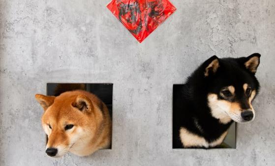 Shiba Inu revela los planes de Stablecoin y Dogecoin llega a Las Vegas