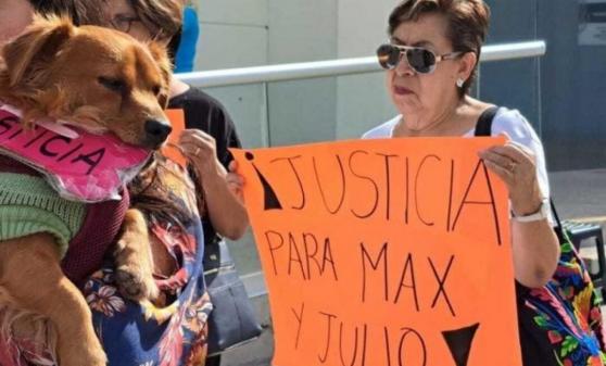 Dan sentencia de cinco años a chofer de pipa que atropello a perros en Querétaro