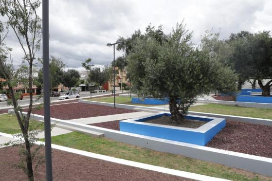 Celebran 70 años de relación diplomática entre México e Israel; inaugurará un jardín en Tecámac