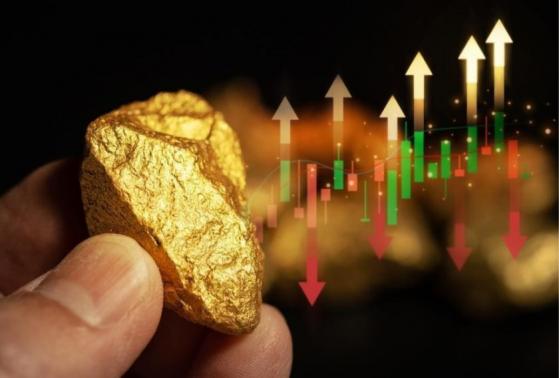La fiebre del oro de las criptodivisas: Borroe Finance recomienda 3 monedas para invertir ahora