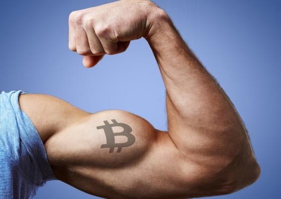 Las métricas de la cadena de Bitcoin son las más fuertes entre sus pares