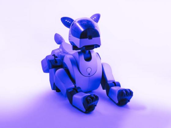 Onlybots: las mascotas virtuales NFT evolucionan con la IA de ChatGPT
