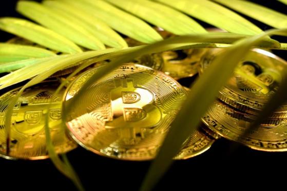 7RCC también solicita un ETF Bitcoin al contado, aunque con un giro ecológico 