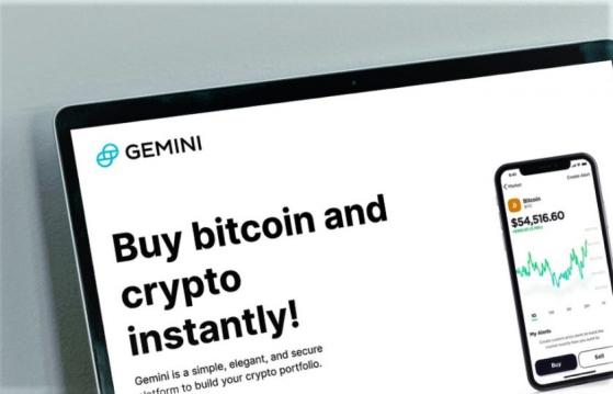 Gemini detendrá servicios con criptomonedas en Países Bajos en noviembre 