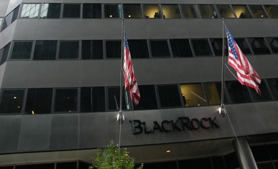 BlackRock busca proyectos infraestructura en región del Golfo