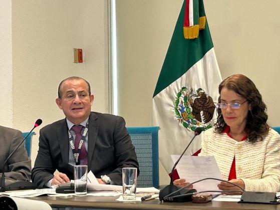 Consumo de mexicanos cambia tras pandemia; INEGI actualiza INPC