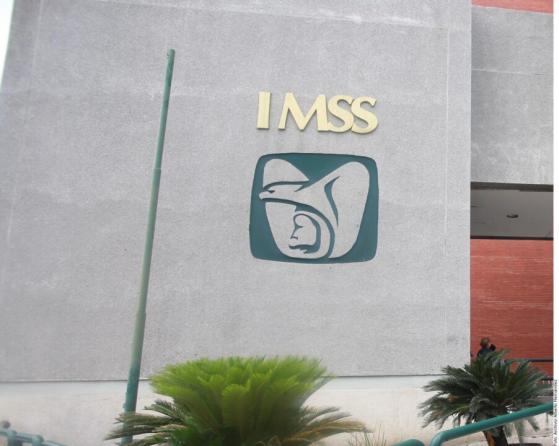 IMSS otorgó 1,100 mdp de contratos a empresa fantasma: ASF