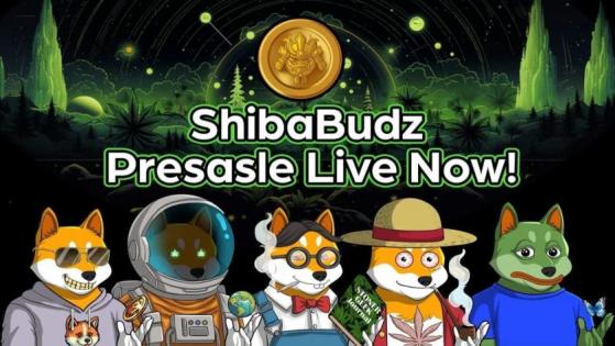 Shiba Budz, en preventa, llama la atención de inversores por ser la nueva memecoin rival de Bonk (BONK)