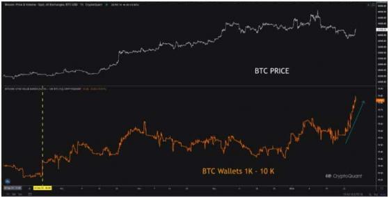 Bitcoin: las ballenas siguen siendo optimistas a pesar del retroceso