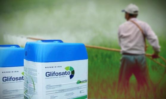 Monsanto recibe multa por 473,000 dólares en Francia