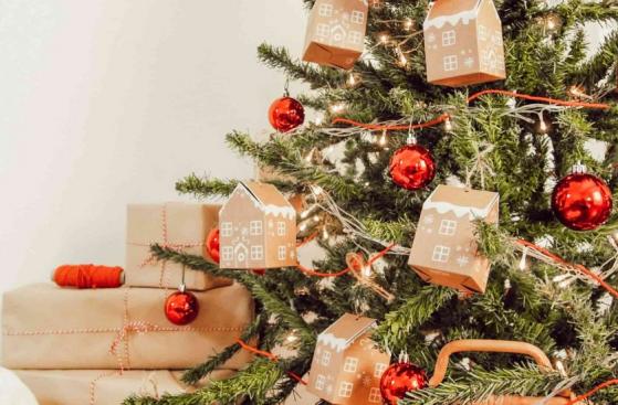 Las criptomonedas que podrían traerle beneficios bajo el árbol de Navidad