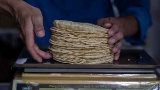Así cuesta el kilo de tortilla en 53 ciudades de México