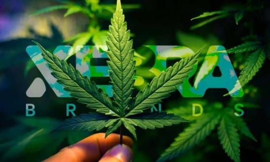 Xebra Brands obtiene permiso para cultivar y procesar marihuana en México