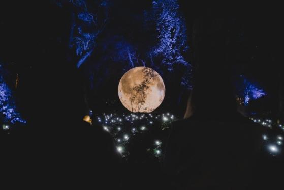 Secret Garden: No te pierdas un mundo de Luz y Magia en el Parque Bicentenario