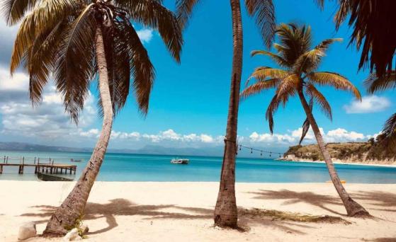 Fiscal general de Bahamas defiende la regulación de su país ante colapso de FTX y Bankman-Fried lo retuitea