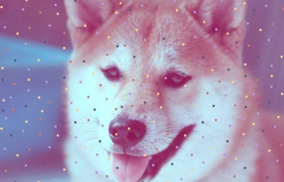 Shibarium: se activa la mainnet de la Blockchain capa 2 de Shiba Inu