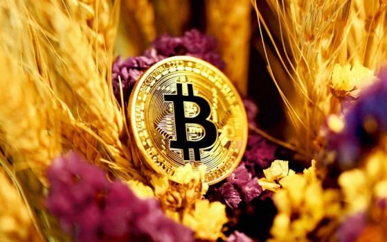ETF demandan Bitcoin a un ritmo más rápido de lo que los mineros lo extraen: CoinShares