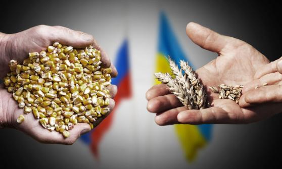 Tortillas y pan más caros: conflicto Rusia-Ucrania dispara precios del trigo y maíz