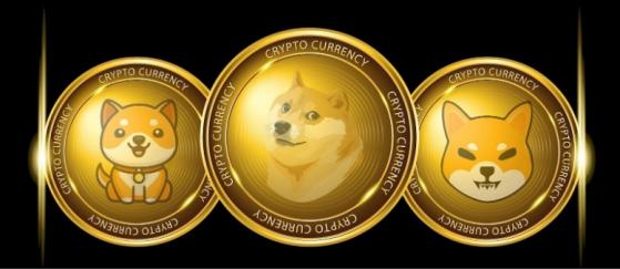 Mientras Dogecoin y Shiba Inu se quedan atrás en el mercado, ¿podría ser NuggetRush una mejor moneda meme?