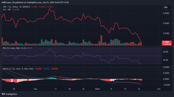 XRP cae al mínimo de 3 meses: esto es lo que piensan sus ballenas